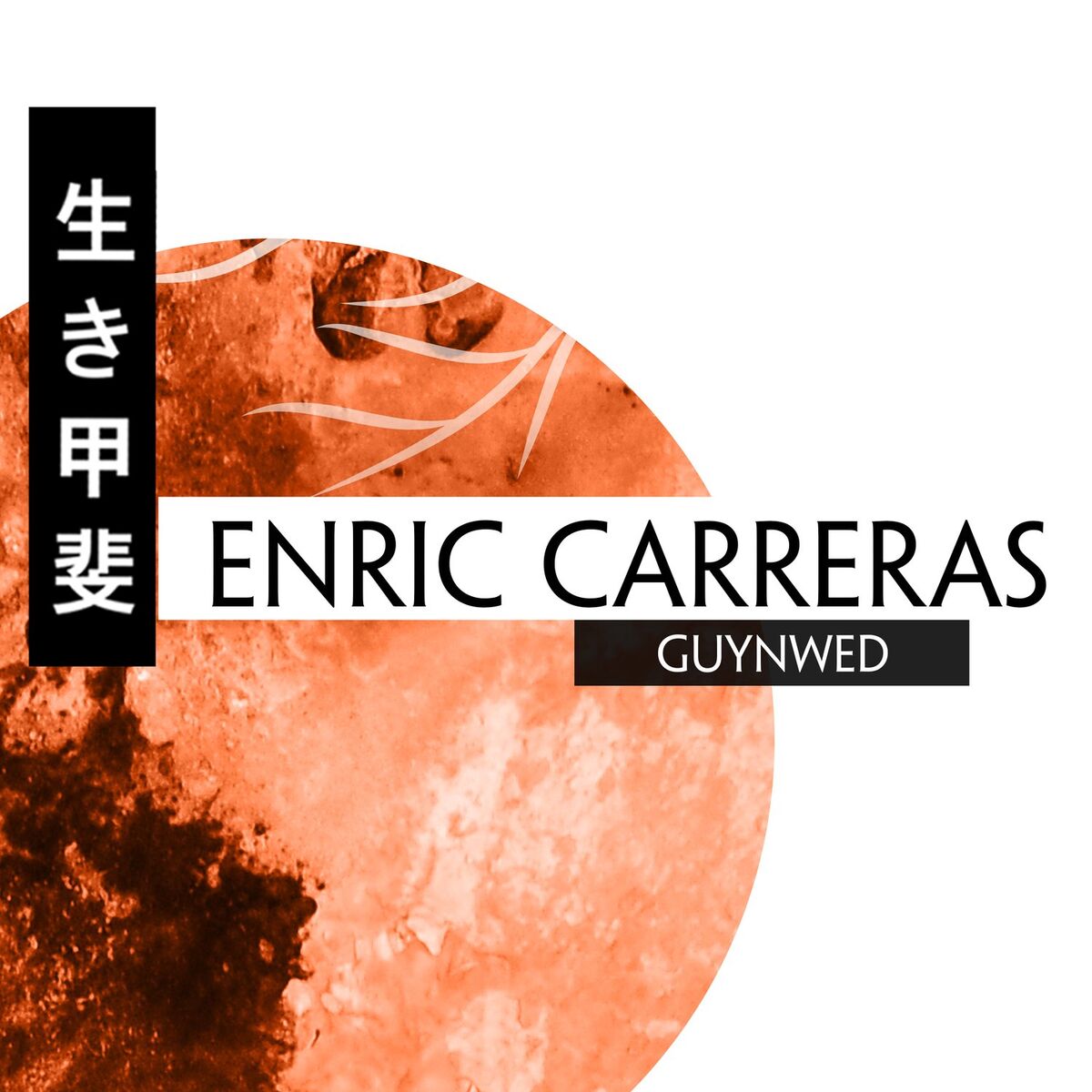 Album cover of Guynwed