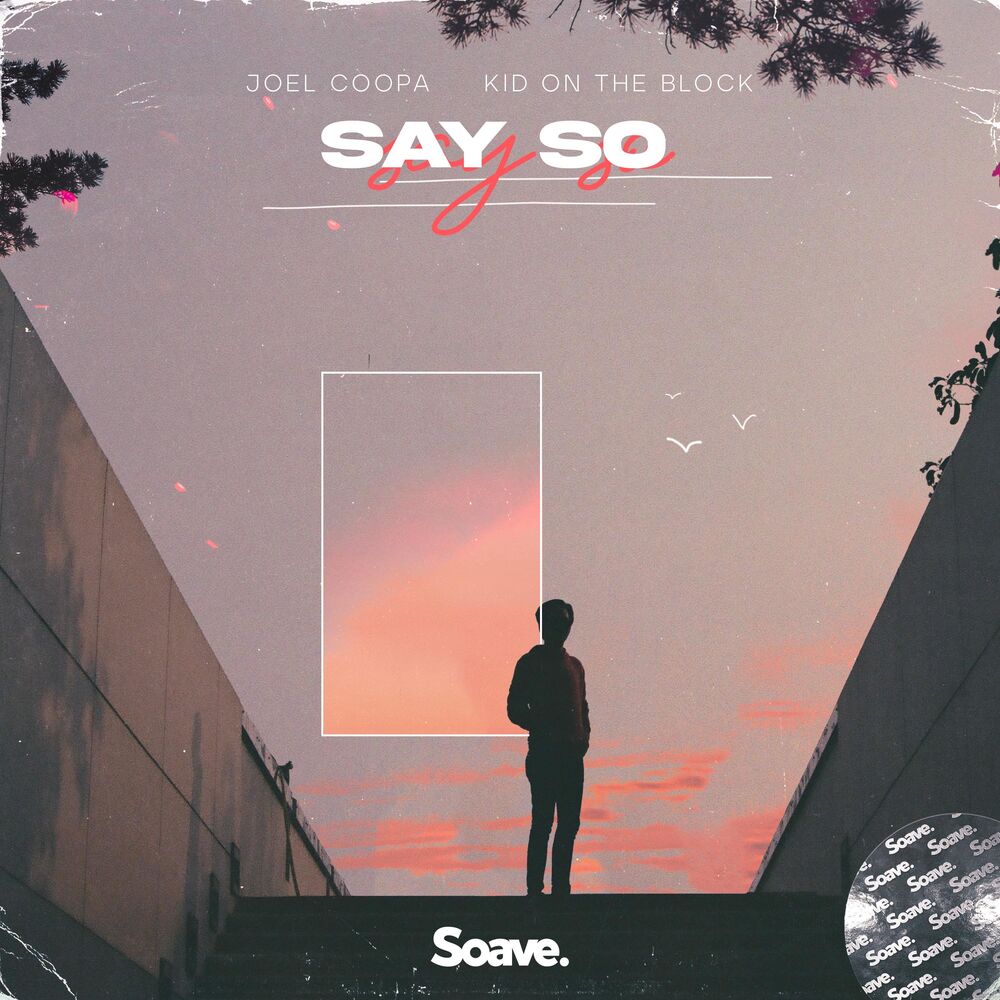 Picture of Say So