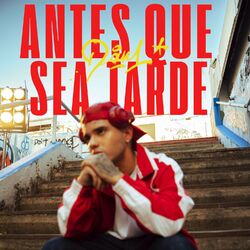 Cover of antes que sea tarde