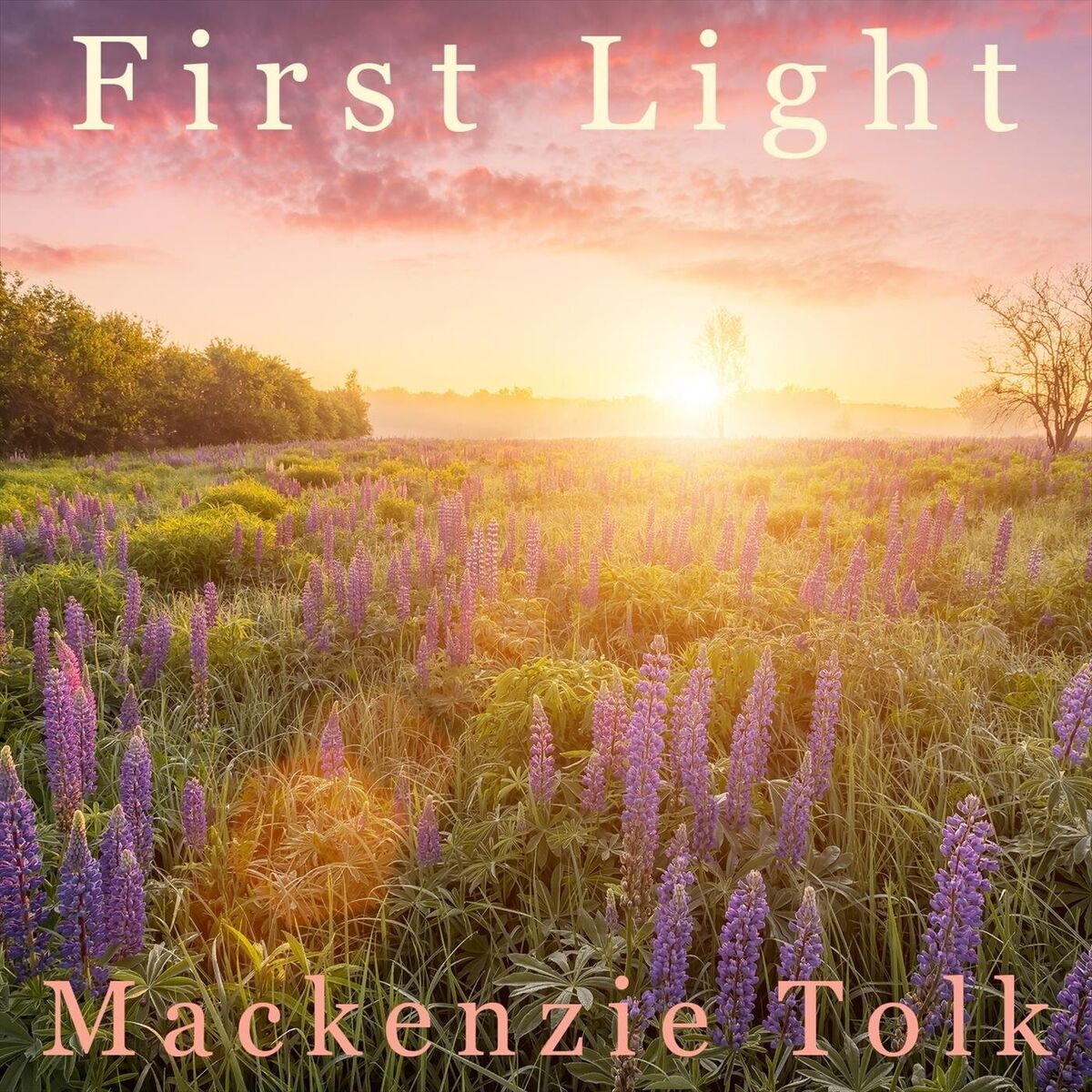 Album cover of First Light