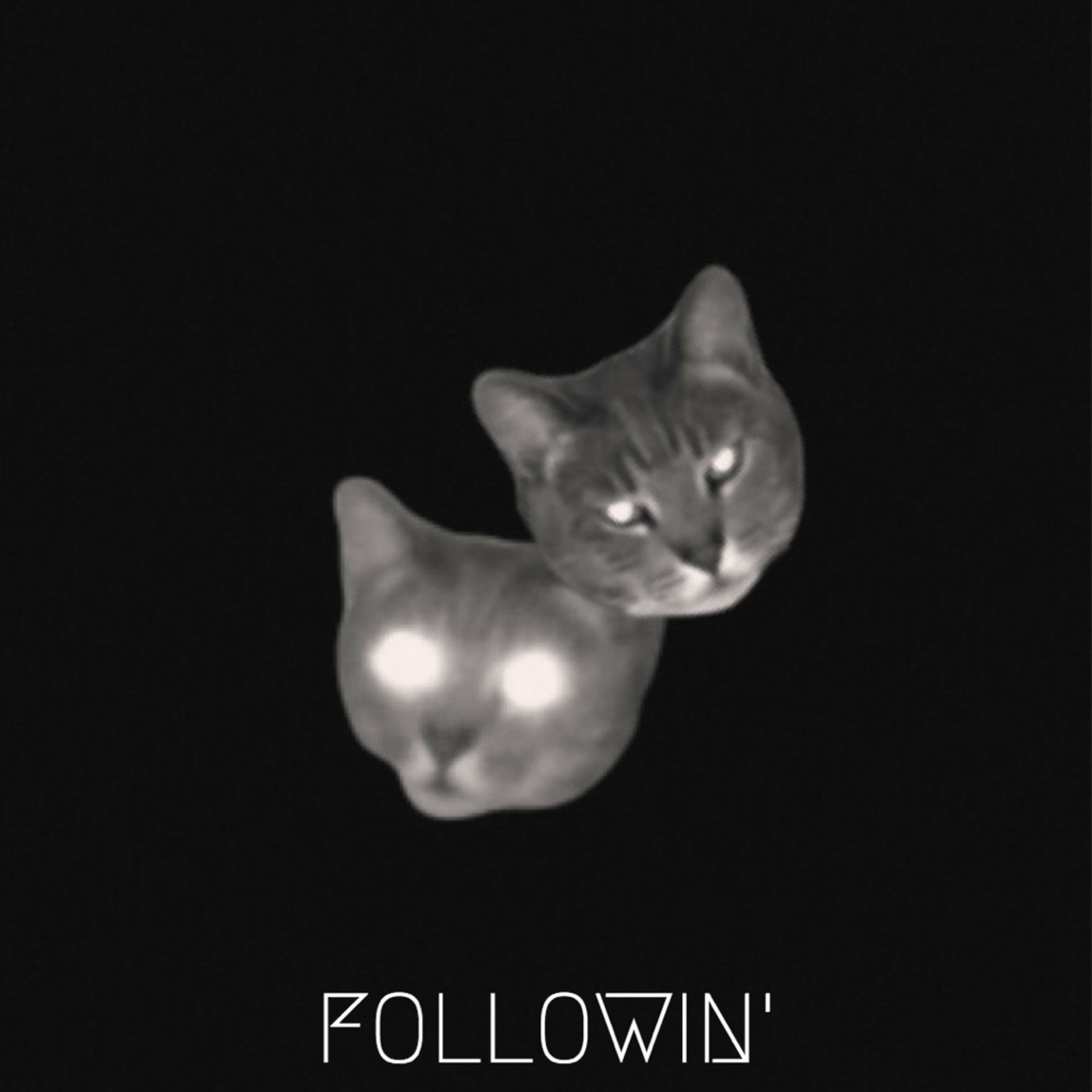 Album cover of Followin'