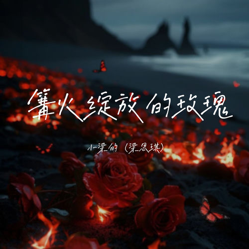 篝火绽放的玫瑰