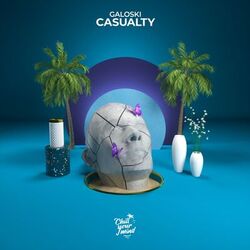 Cover of Casualty