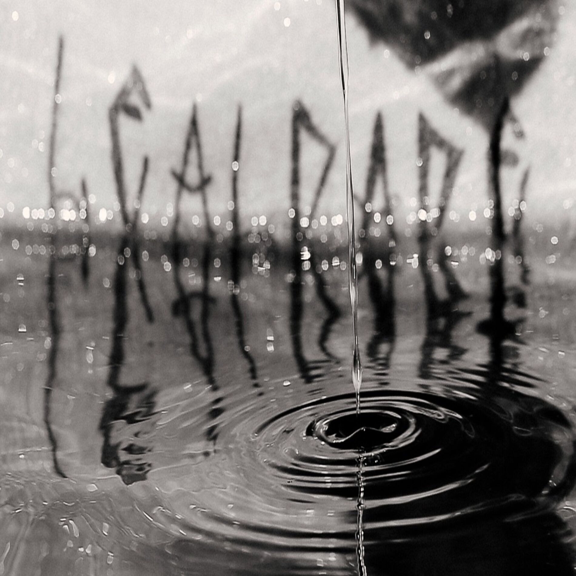 Album cover of Vinho