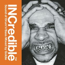Cover of INCredible Sound of Drum'n'Bass Mixed by Goldie