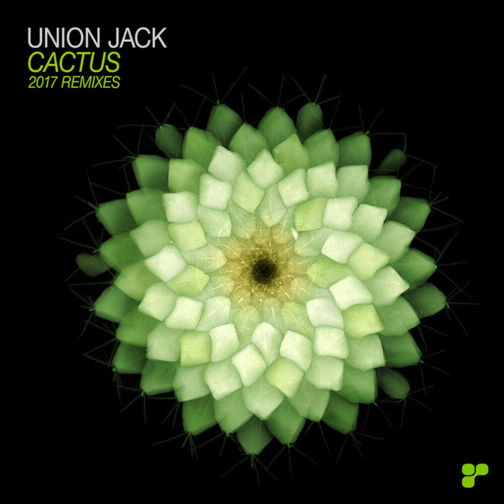 Picture of Cactus - 2017 Remixes