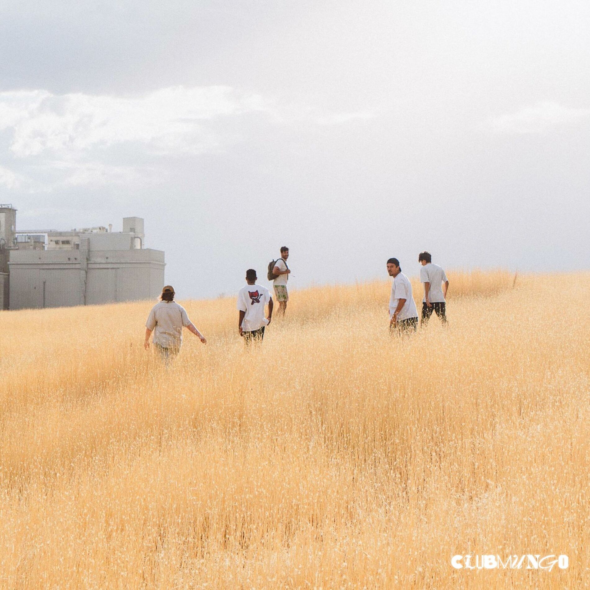 Album cover of RAMBUCHAI