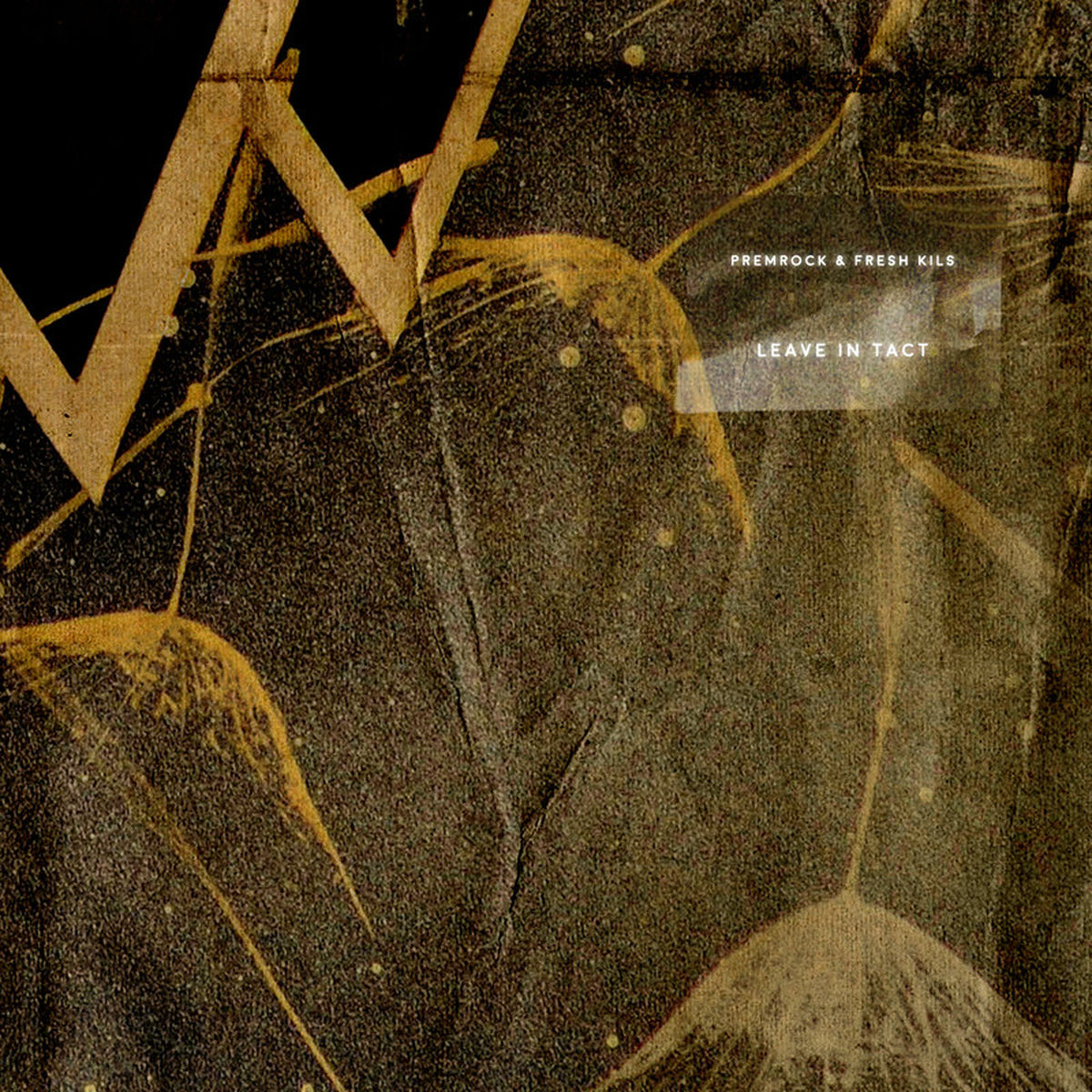 Album cover of Leave in Tact