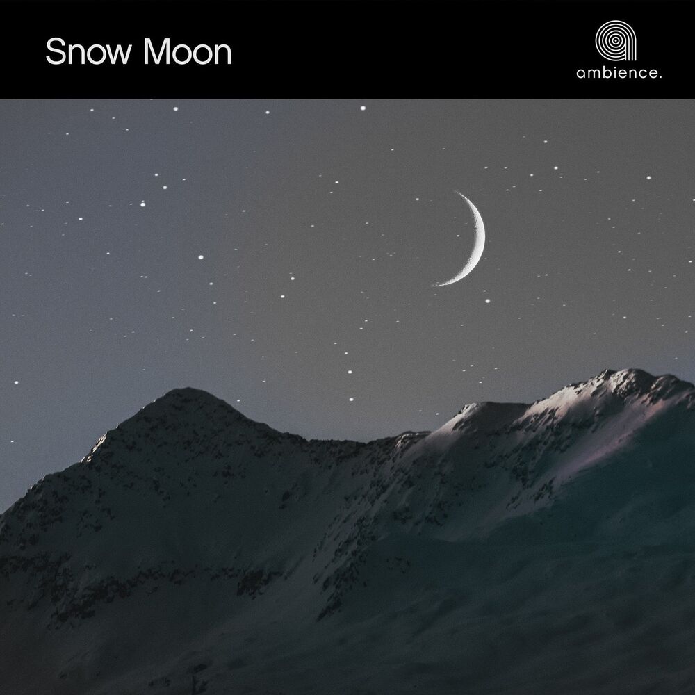 Picture of Snow Moon