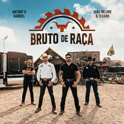 Cover of Bruto de Raça