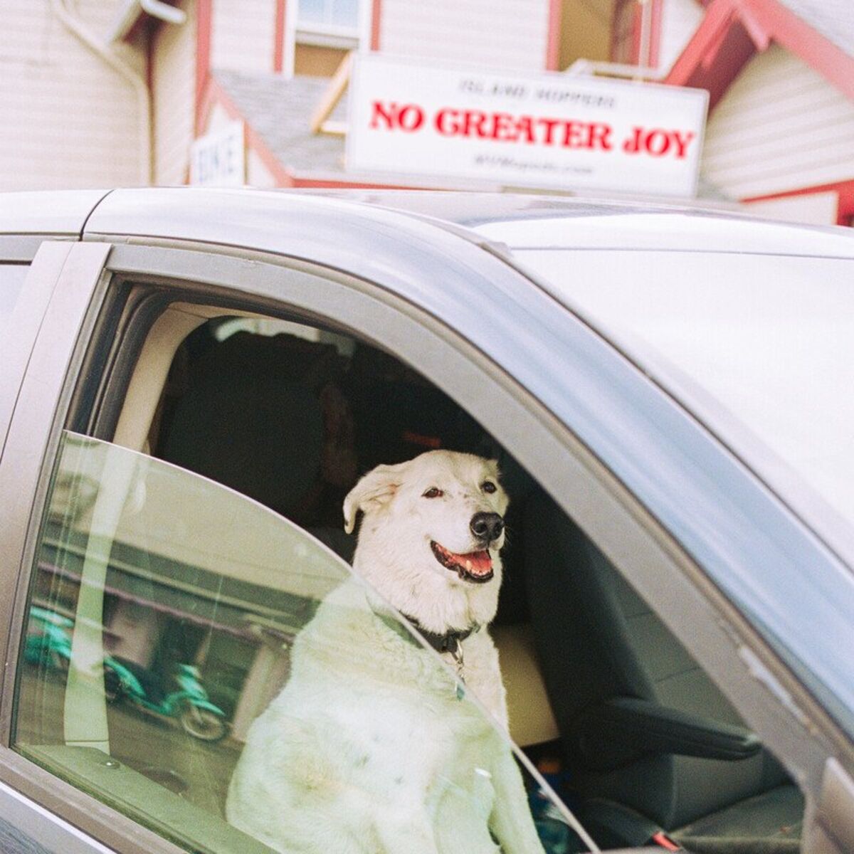 Album cover of No Greater Joy