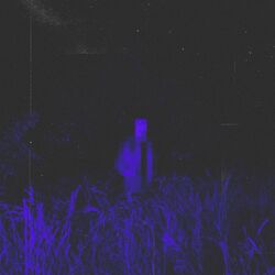 Cover of Nightmare