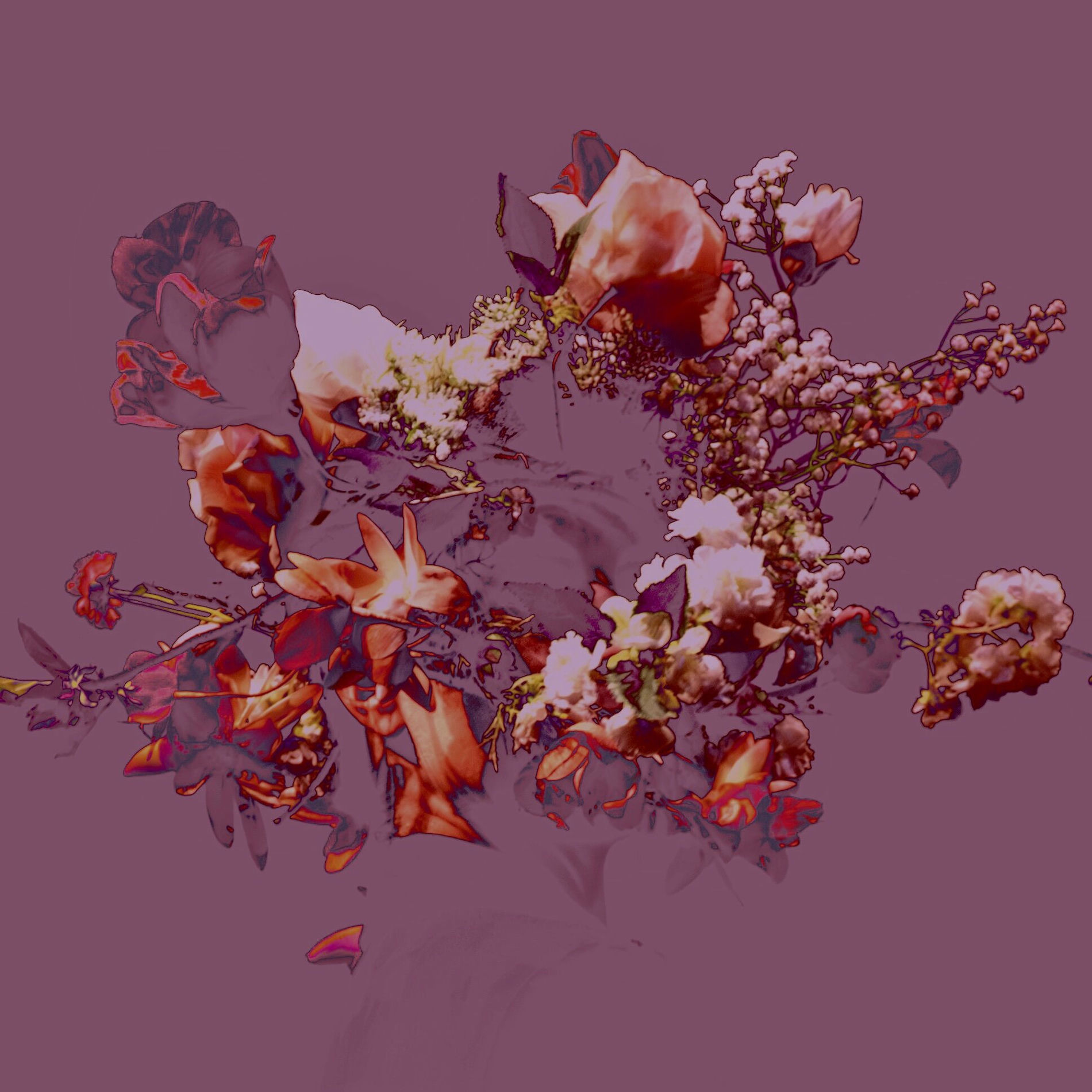 Album cover of Vandtrapper