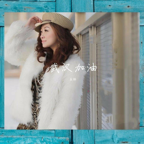 武汉加油