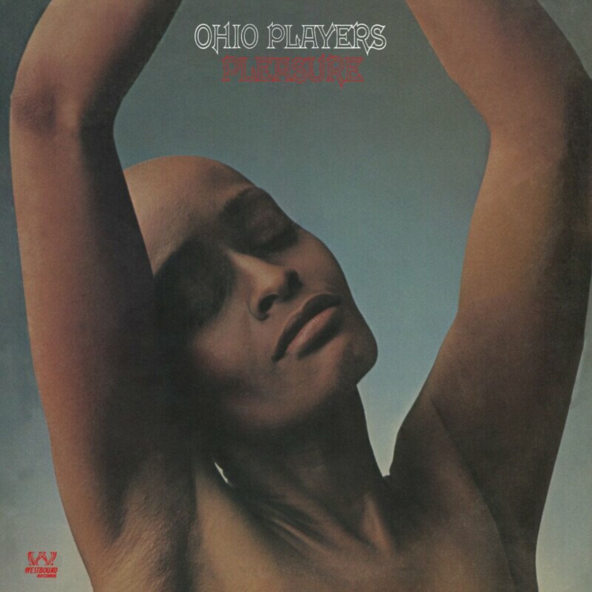 Album cover of Pleasure (2023 Remastered)