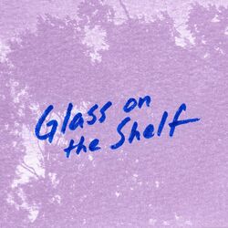 Cover of Glass on the Shelf