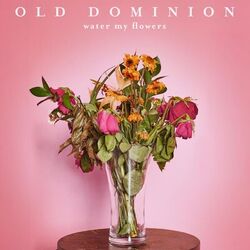 music cover