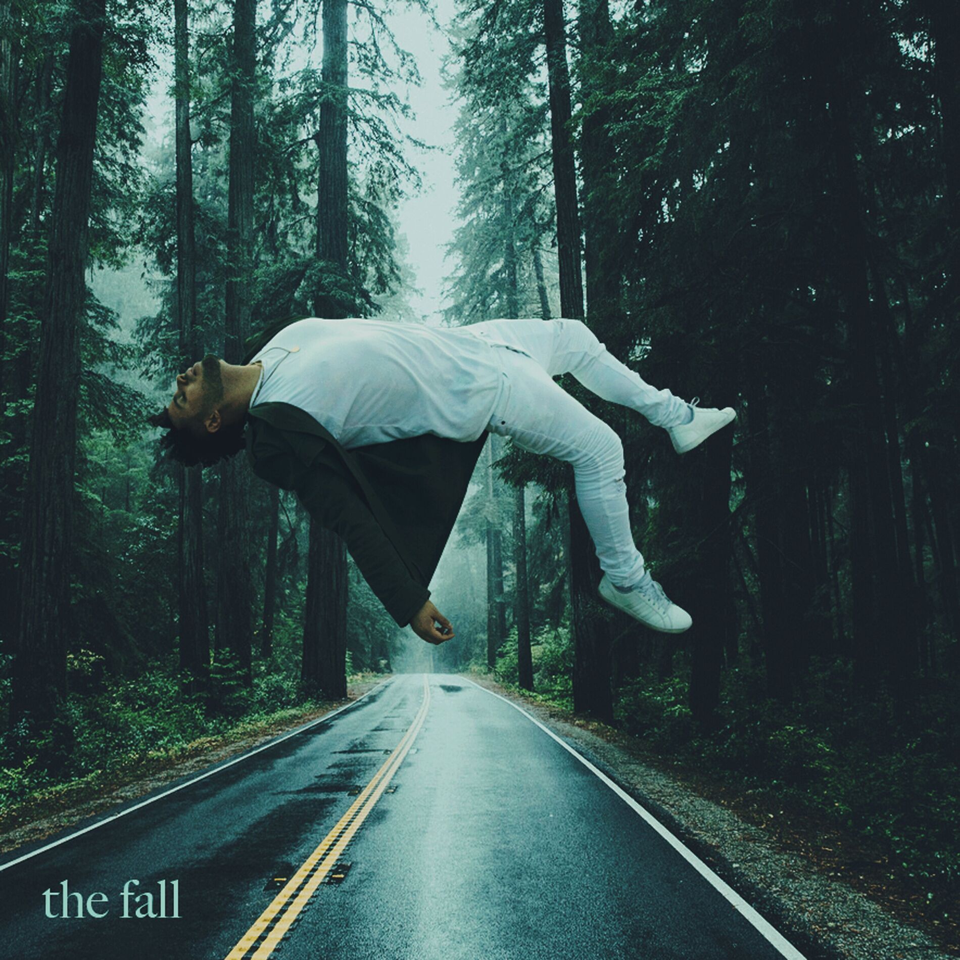 Album cover of The Fall