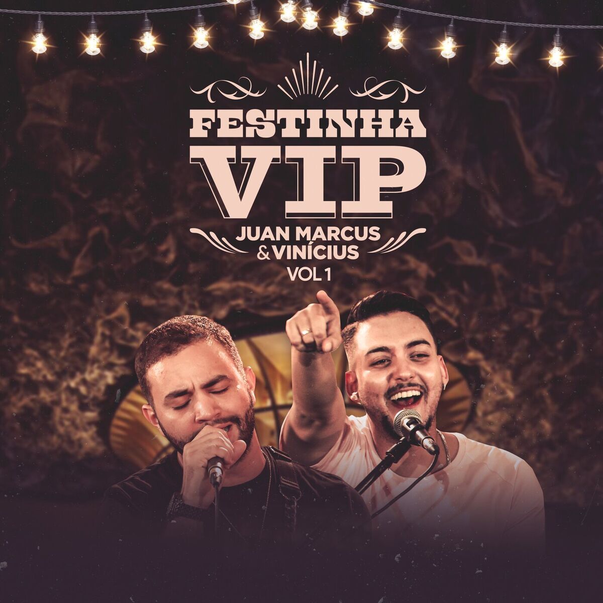 Album cover of Festinha VIP (Ao Vivo / Vol.1)