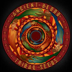 Cover of Ancient Blood