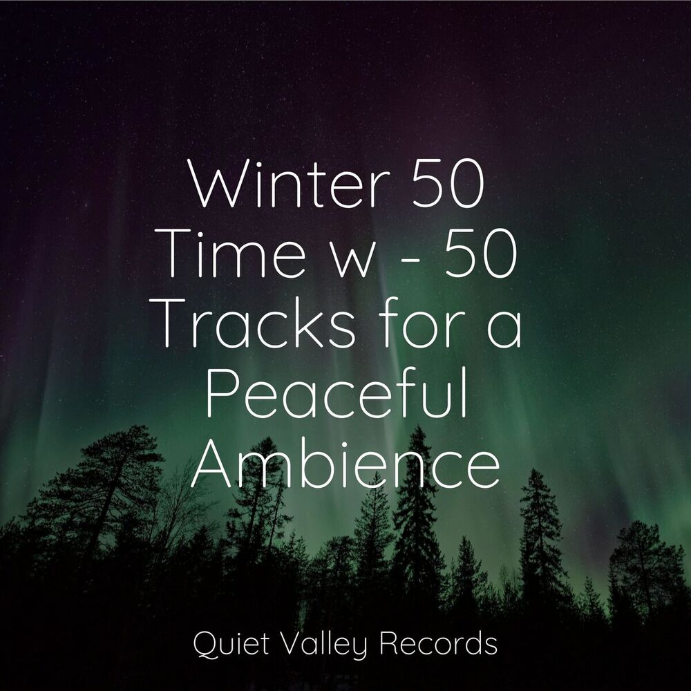Picture of Winter 50 Time w - 50 Tracks for a Peaceful Ambience