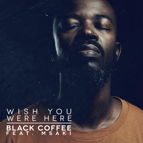 Wish You Were Here (feat. Msaki) by Black Coffee - 120 BPM