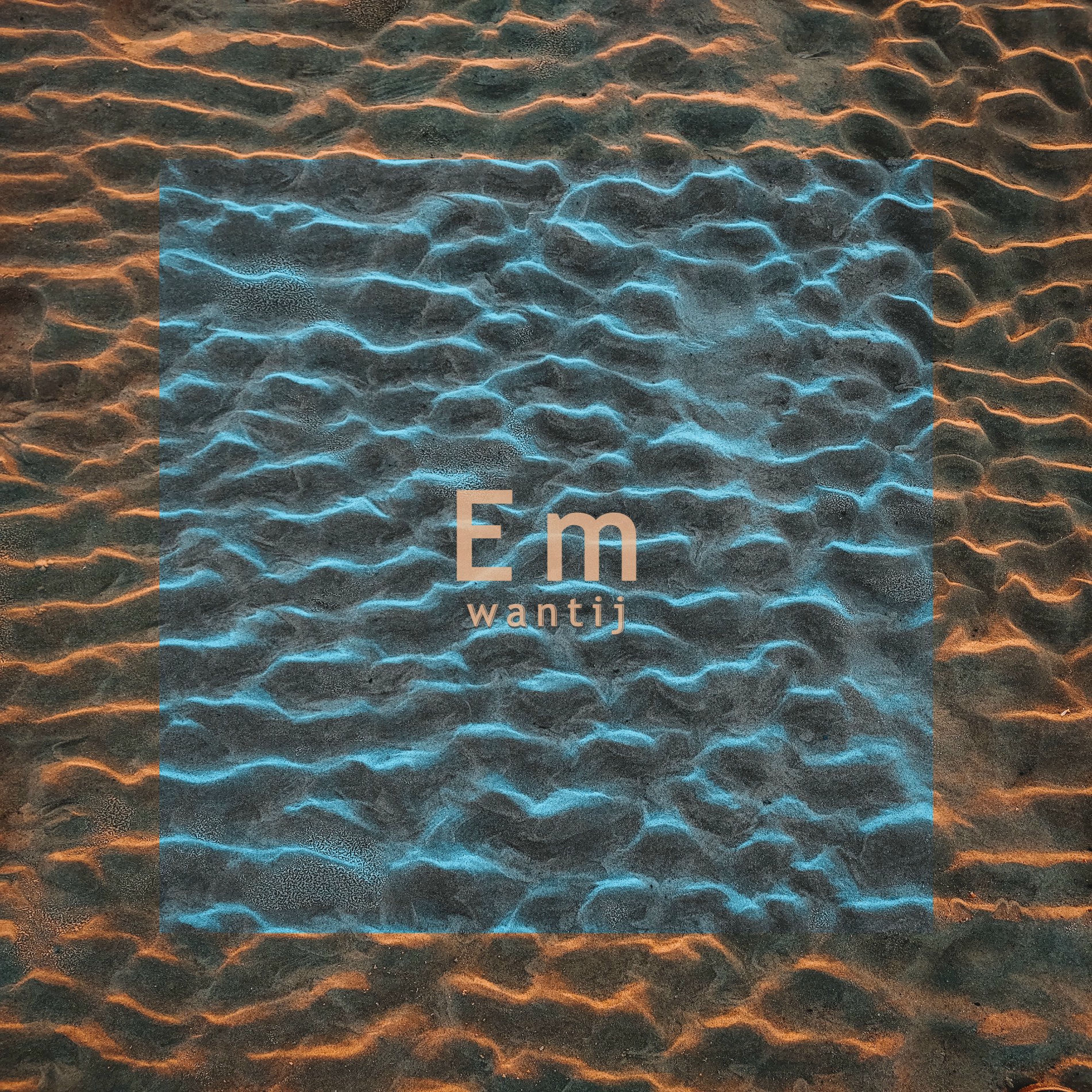 Album cover of Em