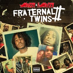 Cover of Fraternal Twins 2