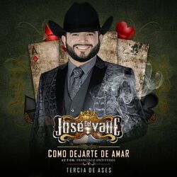 Cover of Como Dejar de Amarte