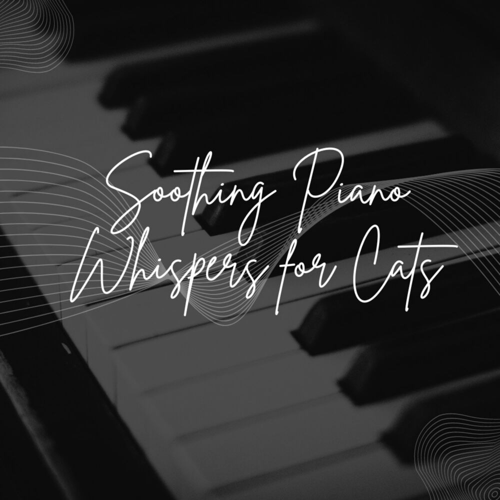 Picture of Soothing Piano Whispers for Cats