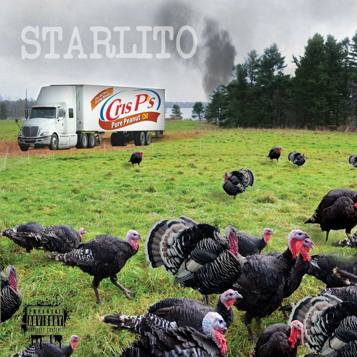 Album cover of Fried Turkey
