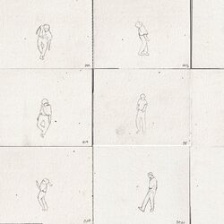 Cover of Misplaced