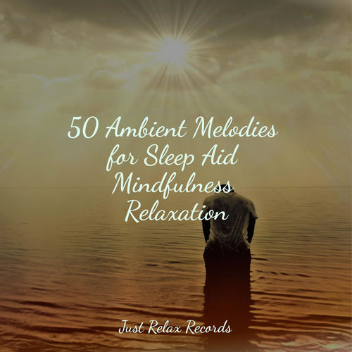 50 Ambient Melodies for Sleep Aid Mindfulness Relaxation