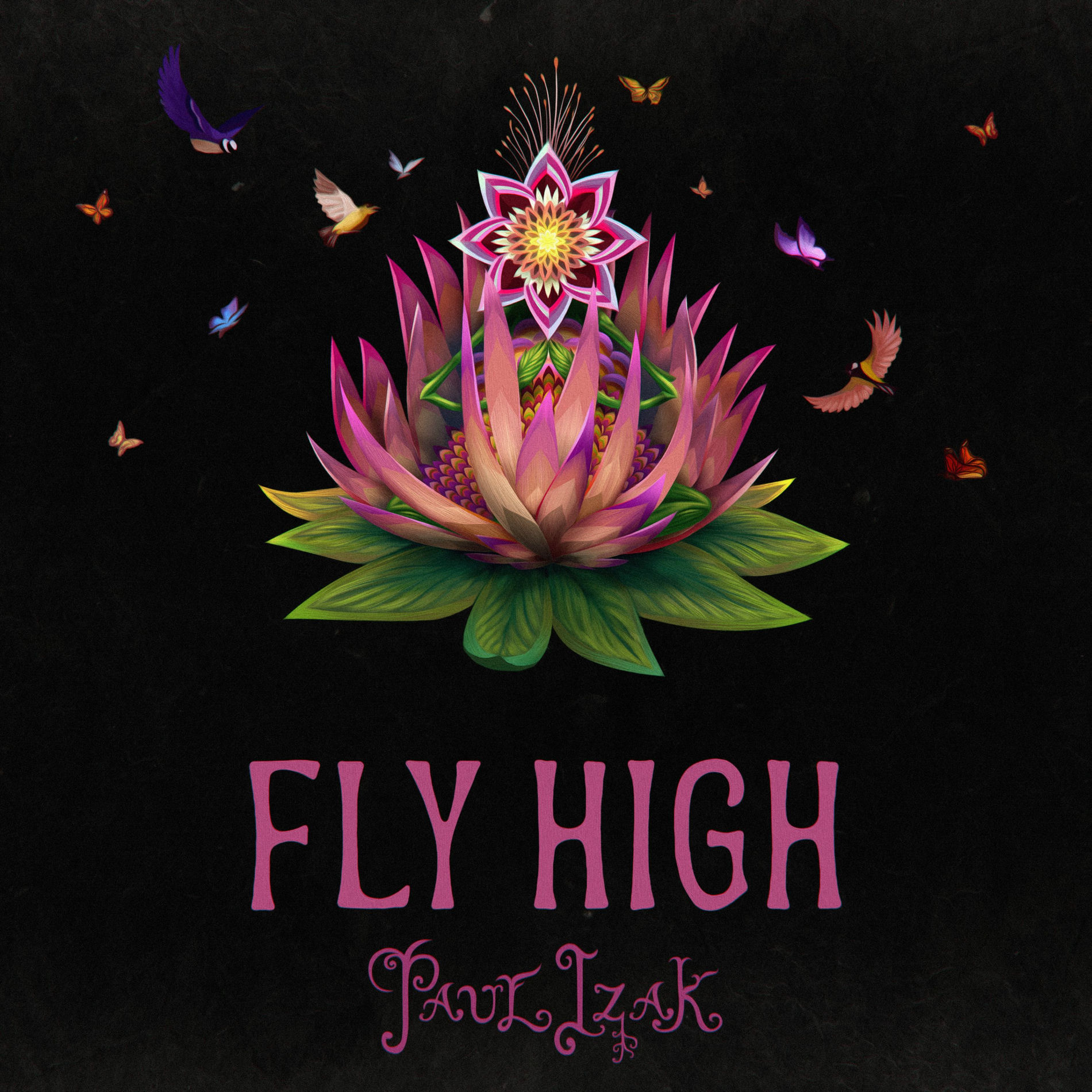 Album cover of Fly High