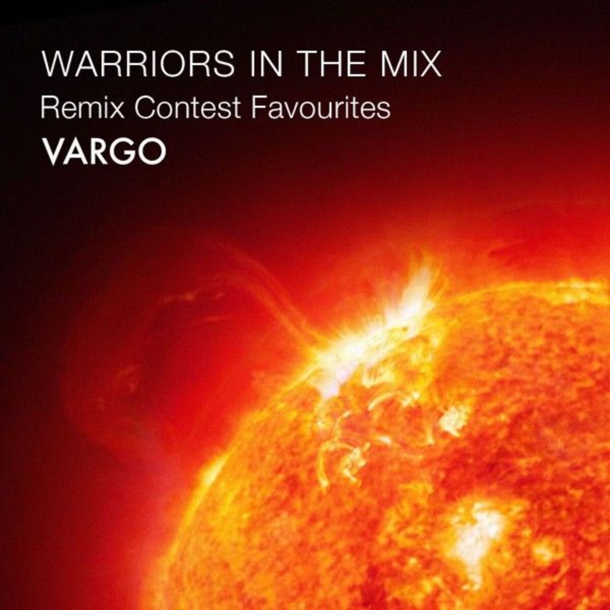 Album cover of Warriors in the Mix - EP