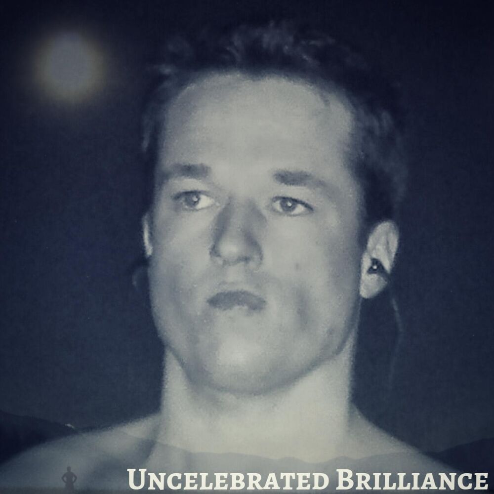 Picture of Uncelebrated Brilliance
