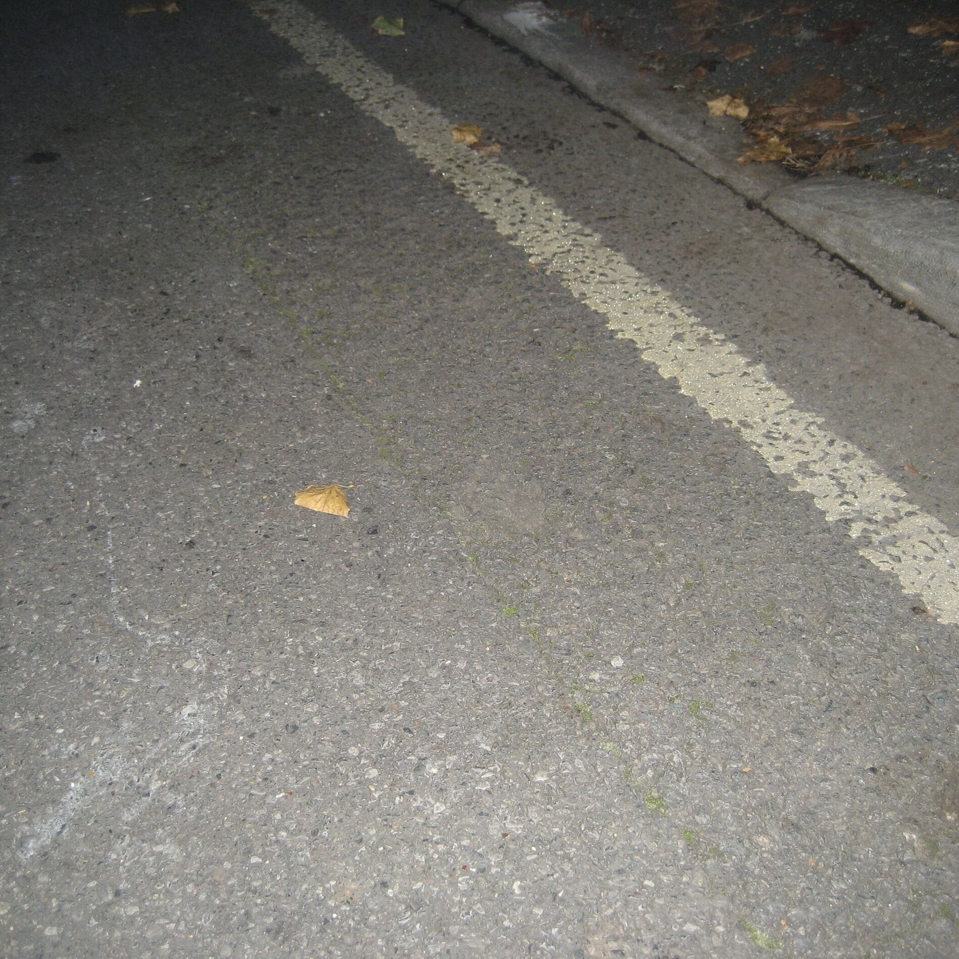 Album cover of V0RSPULEN (nürnberg)