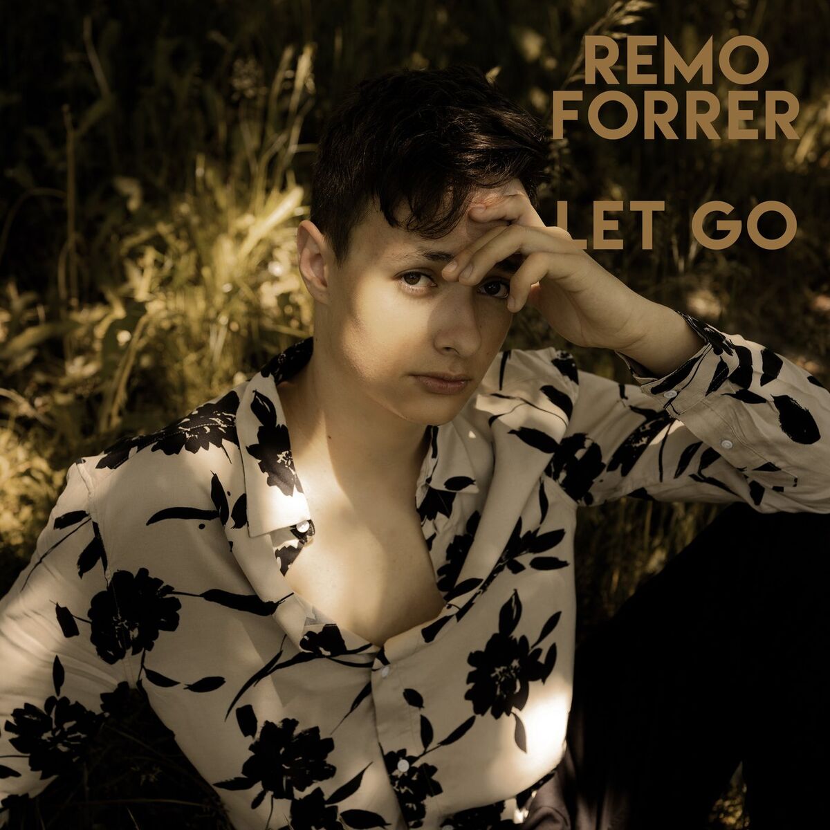 Album cover of Let Go