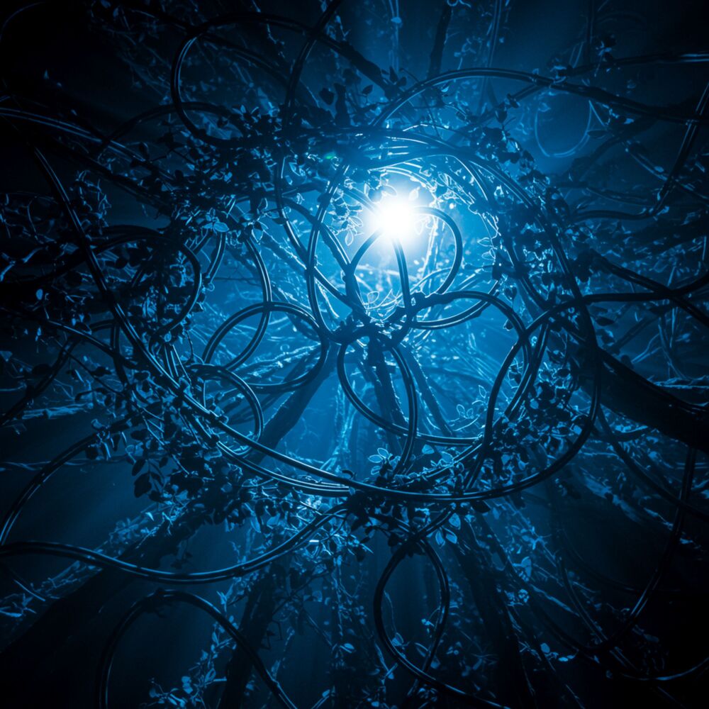 Picture of High Vibrational Healing Journey