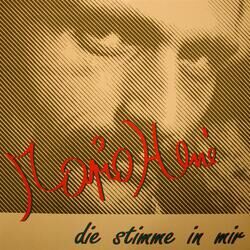 Cover of Die Stimme In Mir