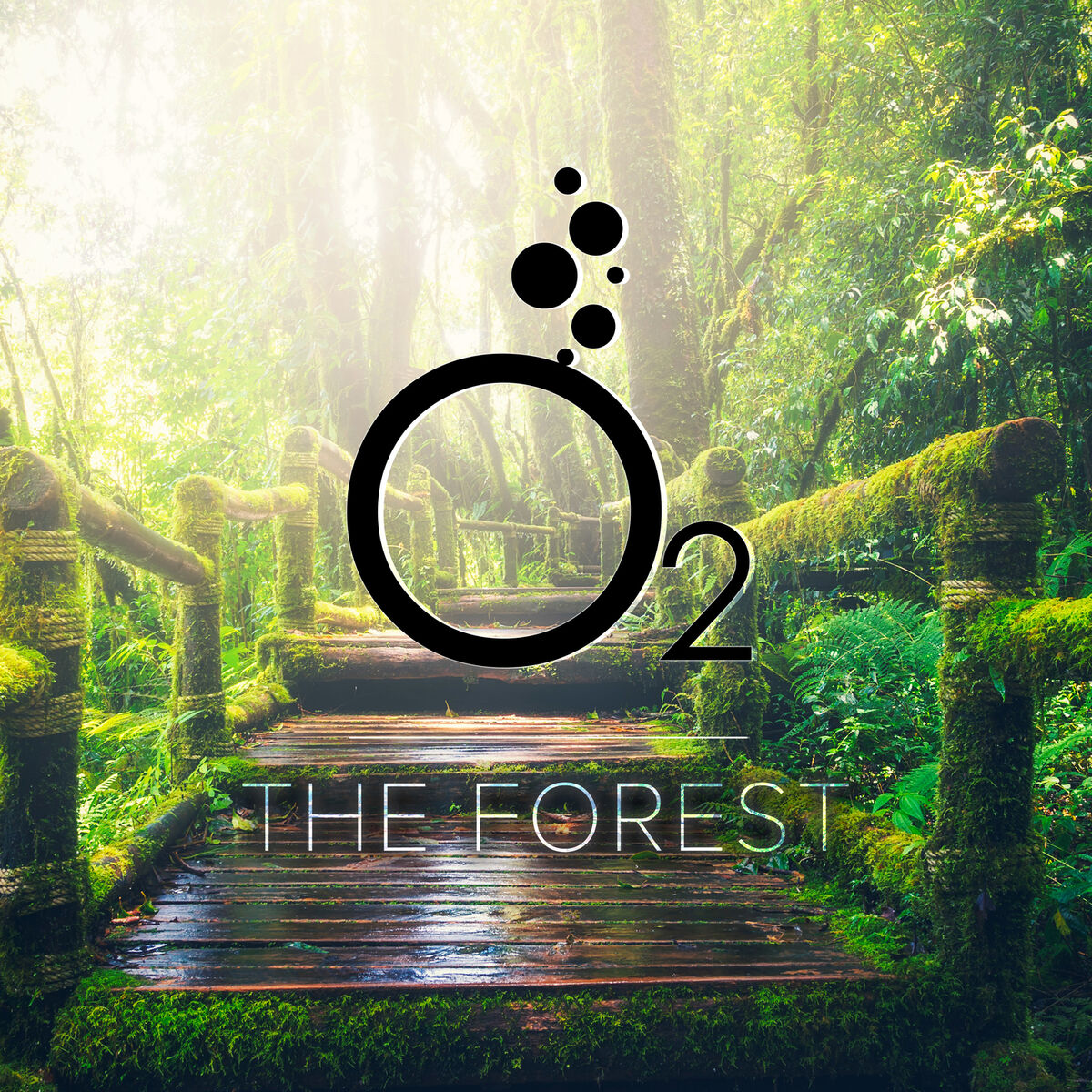 Album cover of The Forest