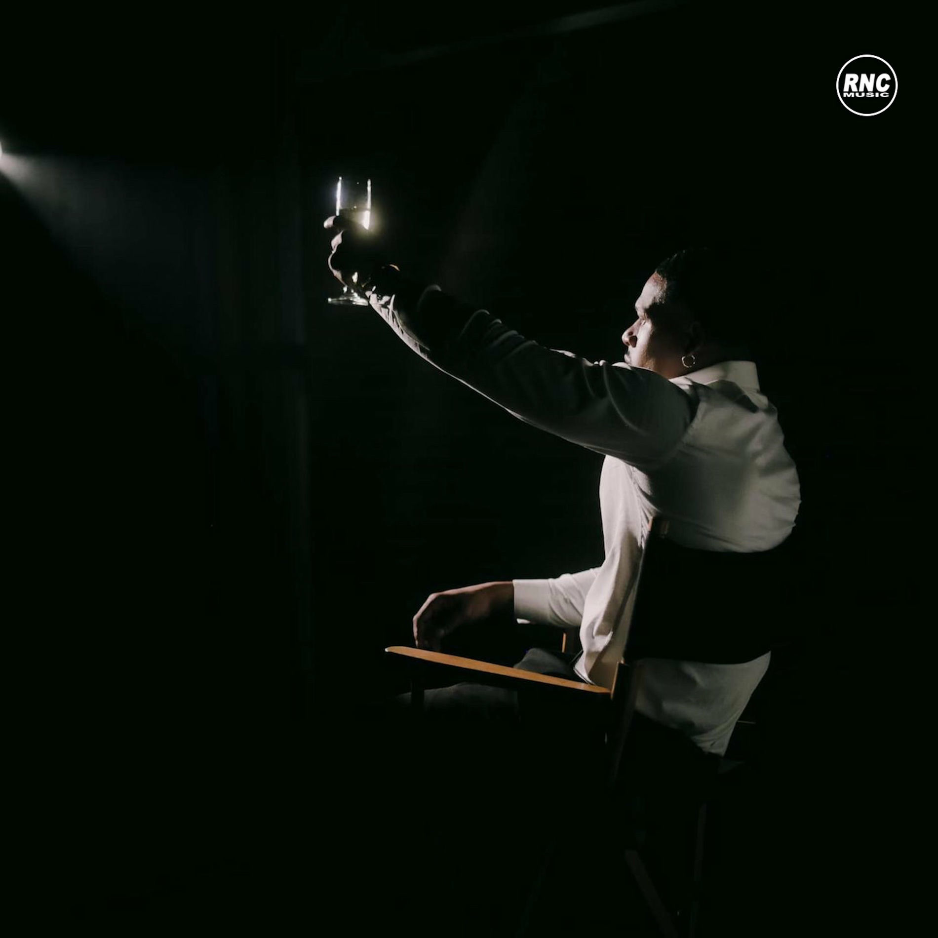 Album cover of Success Story