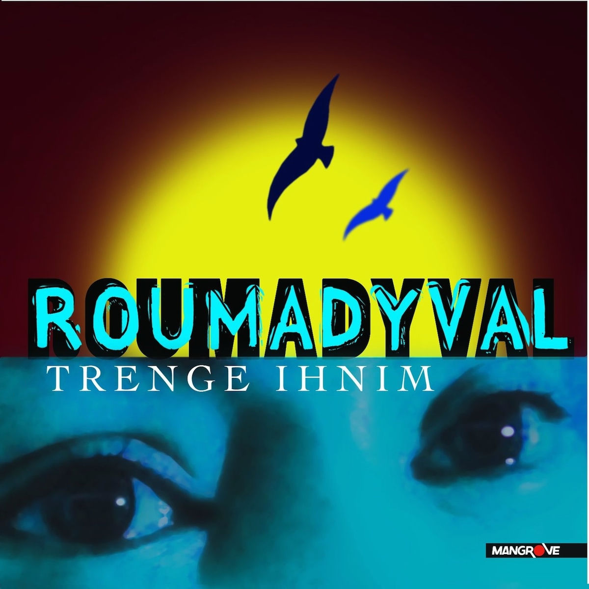 Album cover of Trenge ihnim