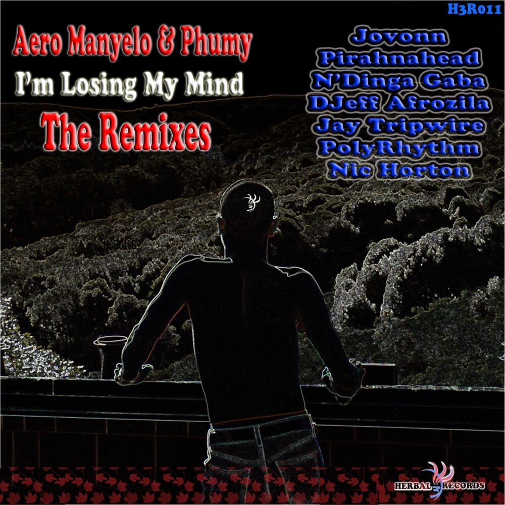 Picture of I'm Losing My Mind