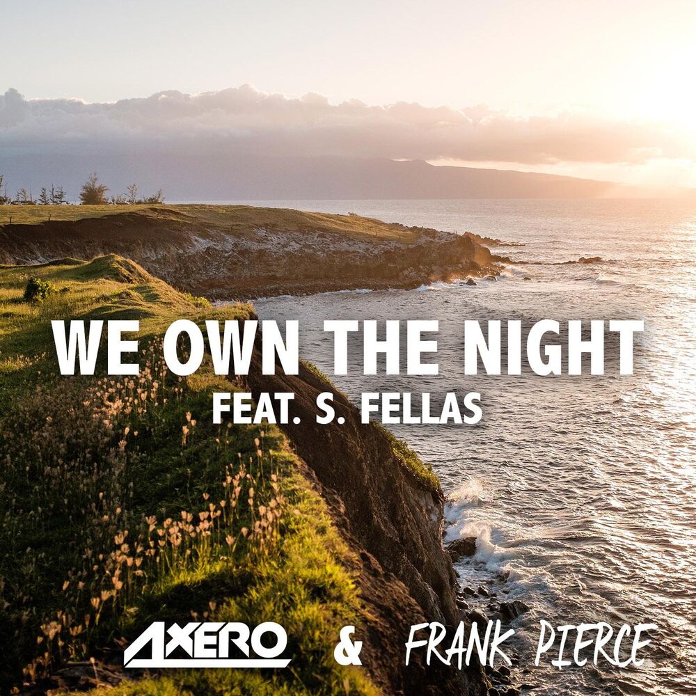 Picture of We Own The Night (feat. S. Fellas)