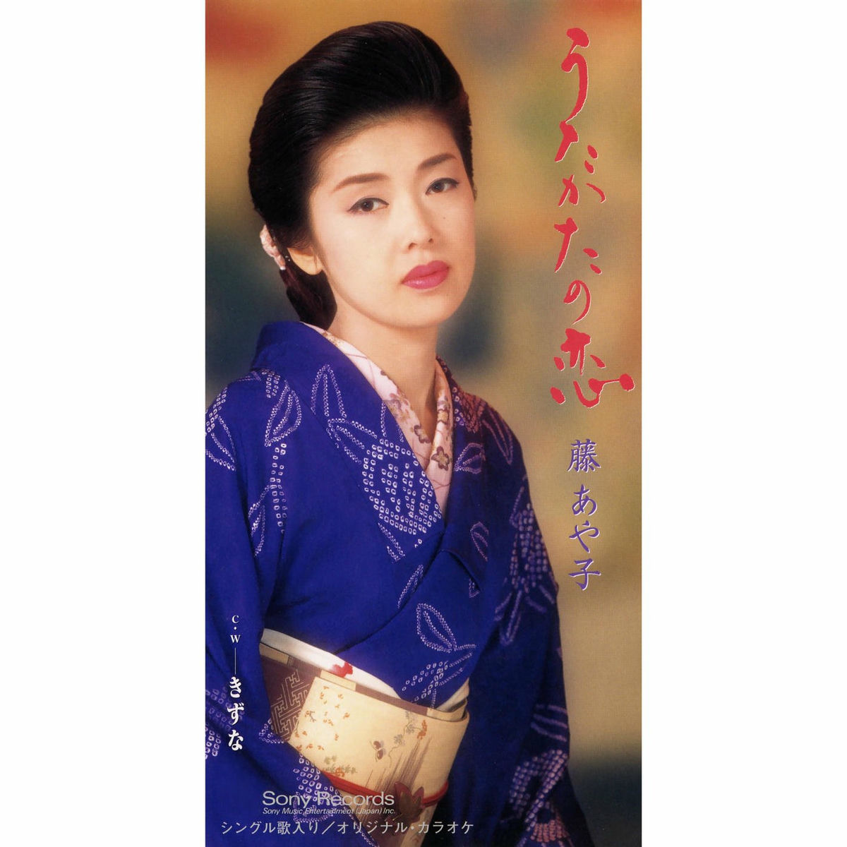 藤あや子 デビュー10周年記念リサイタル 花揺れて…十年 [VHS] 藤あや子 デビュー10周年記念リサイタル 花揺れて…十年 [VHS] 藤