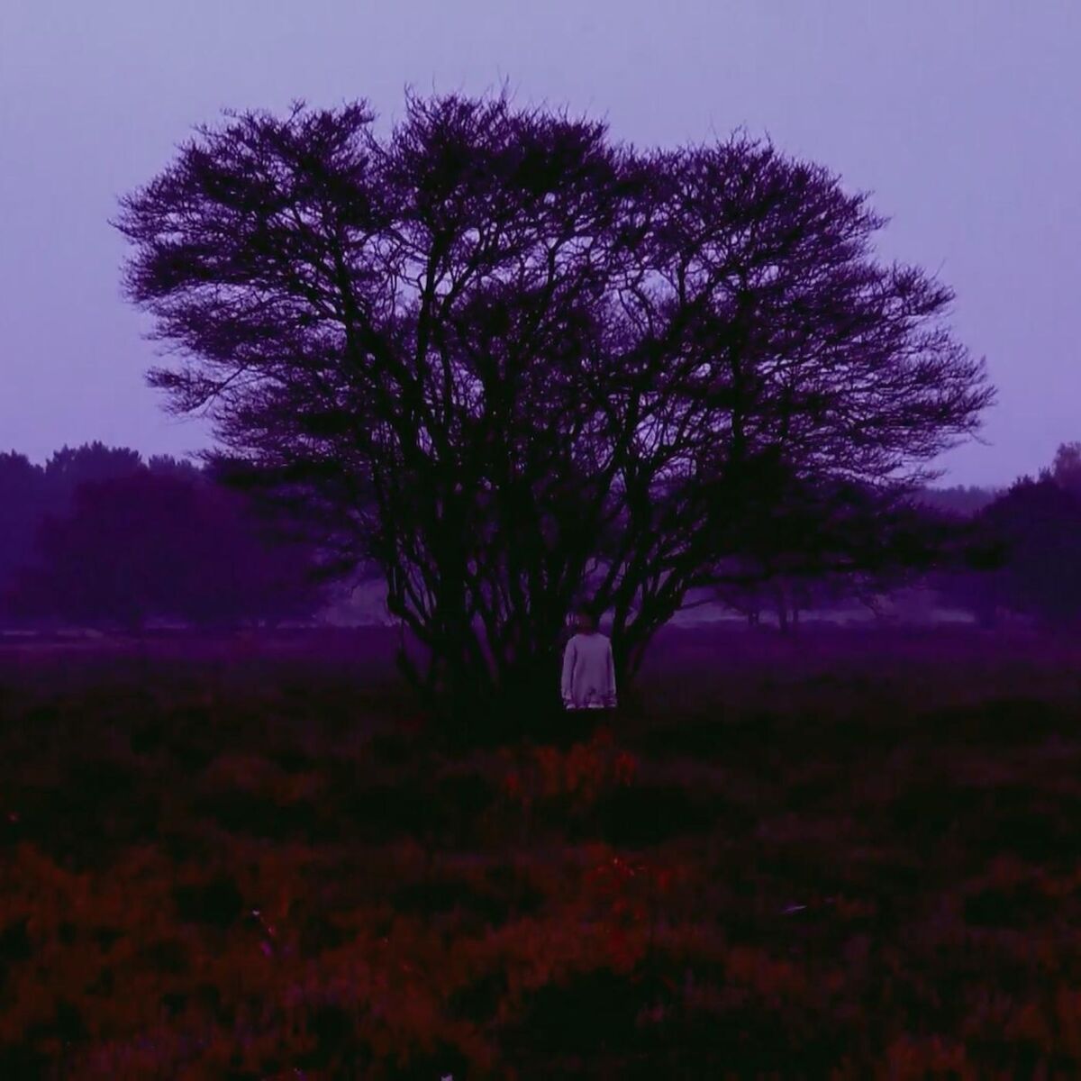 Album cover of Passing Clouds