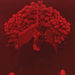 Cover of This is Our Life