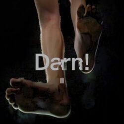 Cover of Darn! II