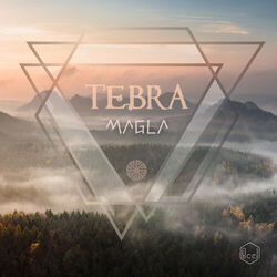 music cover